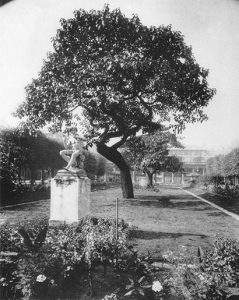 HP80 300 Jardin du Palais-Royal, 1905 2